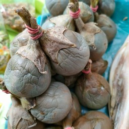 ซุปเห็ดแซ่บ น้ำพริกรสเด็ด ตลาดนัดหนองหญ้างาม