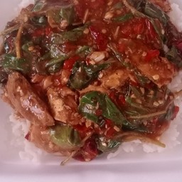 ข้าวกระเพราปลากระป๋อง