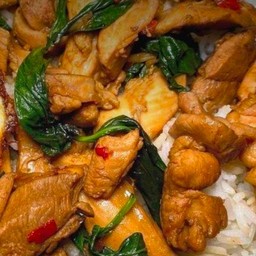 กะเพราไก่ราดข้าว
