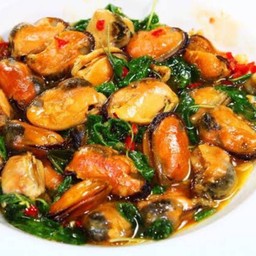 กระเพราหอยเเมลงภู่