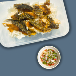 ข้าวปลานิลแกะ