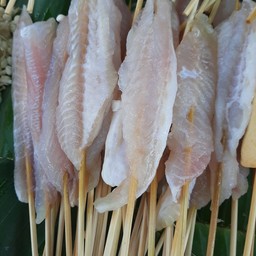 มะหล่าปลาดอลลี่