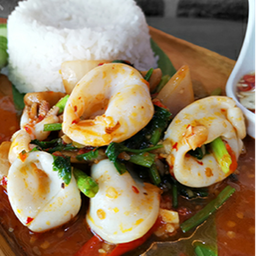 พริกเผาปลาหมึกราดข้าว