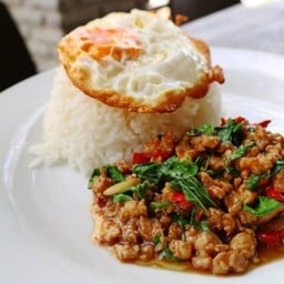 ผัดกะเพรา หมูสับ ราดข้าว ไม่มีไข่