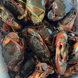 ปูเนื้อ 3 ตัวโล