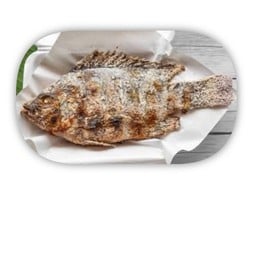 ปลานิล ขนาด (ใหญ่)