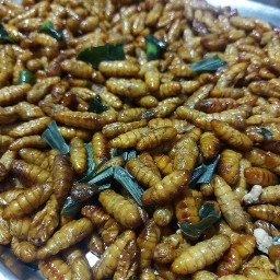 บ้านหนอนไหม แมลงทอด/ข้าวไข่เจียว เฟรนฟราย