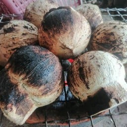 NP น้ำมะพร้าวปั่นนมสด