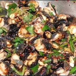 ก้อยหอย