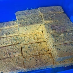 ร้านขนมปังฉ่ำ น้องเอลซ่า