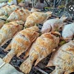 ล้าน FF ปากช่อง