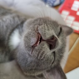 ไม่ไหวแล้วค่ะแม่