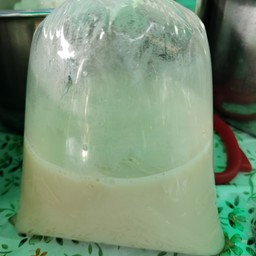 น้ำเต้าหู้(เจ)