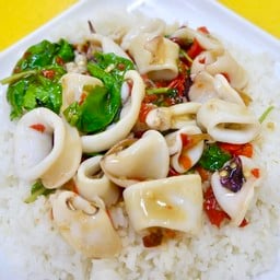 ข้าวกะเพราปลาหมึก