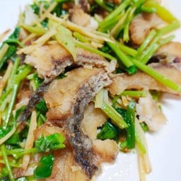 ผัดขื้นฉ่าย