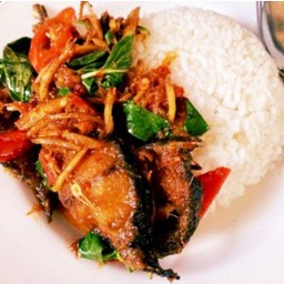 ข้าวผัดกระเพราปลาดุกไข่ดาว