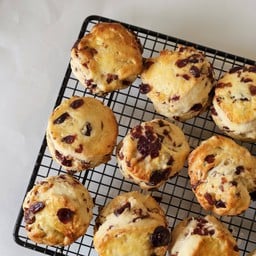 cranberry scone