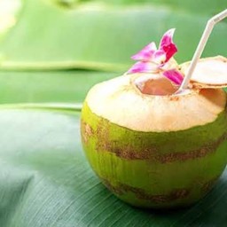 มะพร้าวน้ำหอมแท้100%  ปลายน้ำ