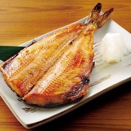 ปลาชิมะฮอกเกะแบบเต็มตัว