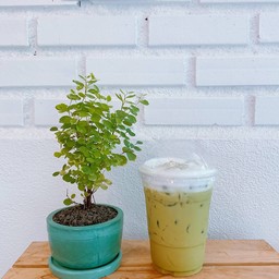 ชาเขียว