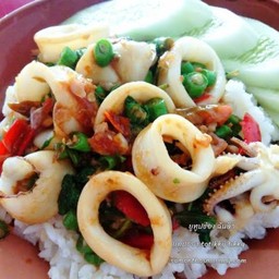 ข้าวกระเพราหมึก