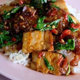 หมูกรอบผัดกระเพรา(กับข้าว)