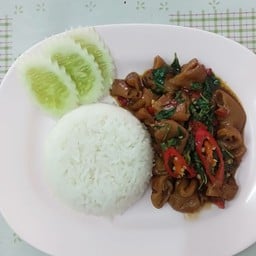 กระเพราไส้ราดข้าว