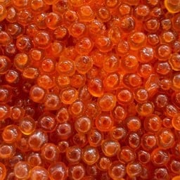 ไข่ปลาแซลม่อน ikura from japan 50g