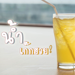 เก๊กฮวย