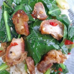 ข้าวราดผัดผักคะน้า