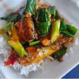 ข้าวราดคะน้าปลากะป๋อง