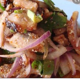น้ำตกคอหมูย่าง