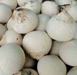 มะพร้าวน้ำหอมเผา (ลูก)