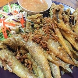 ปลาไข่ทอดกระเทียม