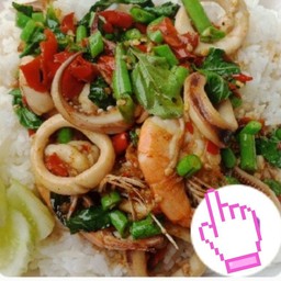 กระเพราปลาหมึก+กุ้งราดข้าว