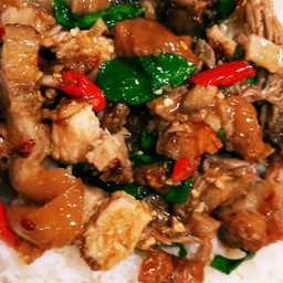 กะเพราขาหมูตุ๋น+หมูกรอบ ราดข้าว