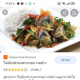 ข้าวราดกระเพราไข่เยี่ยวม้า  ( ใส่หมู /ใส่ไก่ )