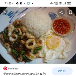 ข้าวราดกระเพราปลาหมึก ใข่ดาว