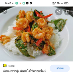 ข้าวราดกระเพรากุ้ง ไข่ดาว