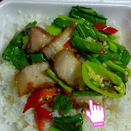 คะน้าหมูกรอบราดข้าว