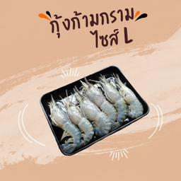 กุ้งก้ามกราม (L)