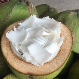 มะพร้าว