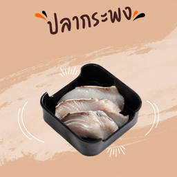 Snapper Fish
