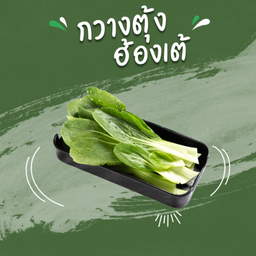 Bok Choy