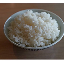 ข้าวญี่ปุ่น