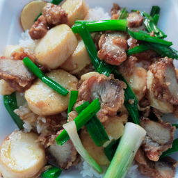 ผัดเต้าหู้อ่อนหมูกรอบราดข้าว