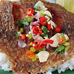 ทอดตอนเช้า สาขา4