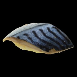 ปลาซาบะดอง