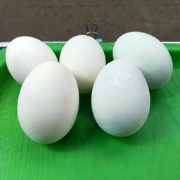 ไข่เค็มใบละ