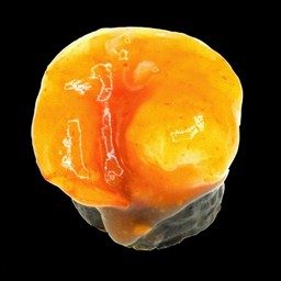 กุ้งกิมจิ